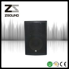 Altavoz de refuerzo Zsound P12 PRO Audio Night Bar