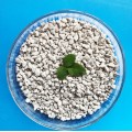 Fertilizer grade dicalcium phosphate granular cost-effective