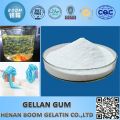 Popular Food additive organic low/high acyl Gellan gum