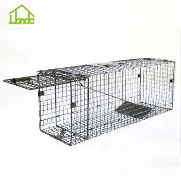 Catch And Release Live Animal Trap For Raccoons