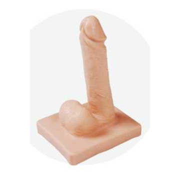 Male Condom Demonstration Model