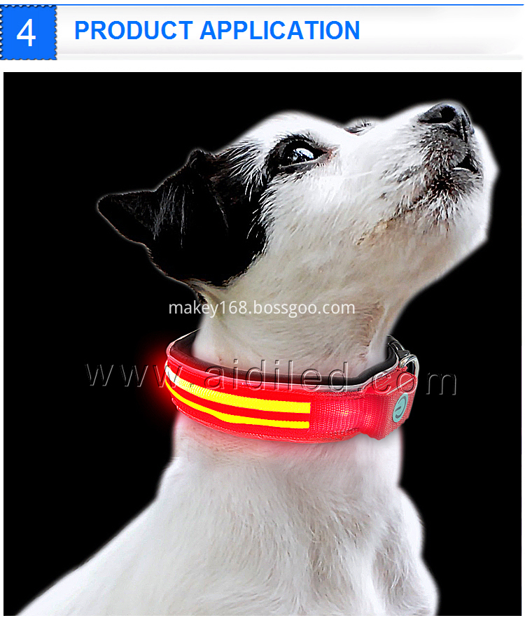 Best Led Collars For Dogs