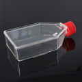 Cell culture flask, T-25, surface