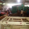 Brosse naturelle à vente chaude gère la vente directe en usine des poignées de balais en bois pvc mop stick