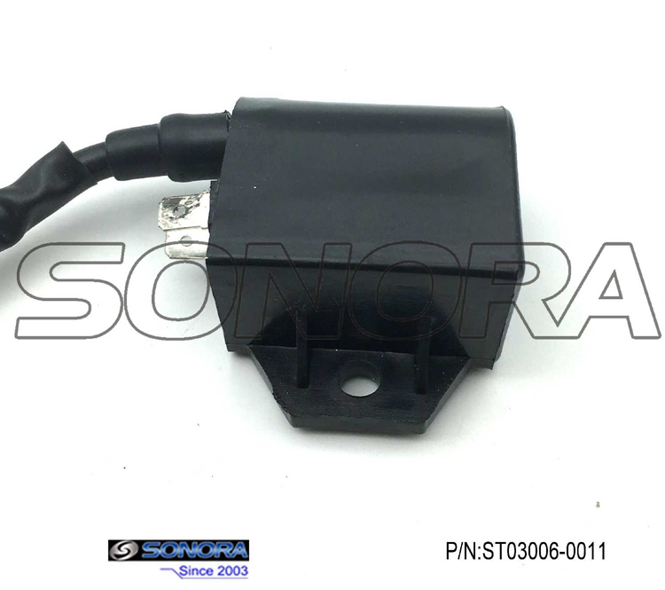 Suzuki AN125 Ignition Coil Repair