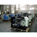 Yangdong Diesel Engine 380V 10kw Gerador Diesel