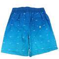 Schwimmshorts des Ocean Series Boy