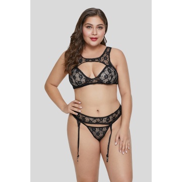 Custom plus size lace bra set lingerie