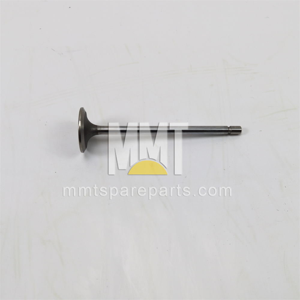 Exhaust Valve 490-1728 Exhaust Valve 490-1728