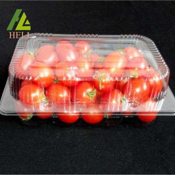 Clamshell Plastic Fresh Fruit Container