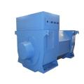 High Performance Air Cooled 7200V Generator Diesel