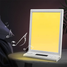 Suron Light Therapy Lamp with Lamp Holder