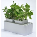 Mini Diy Hidropônico Flor Net Pot Grow System