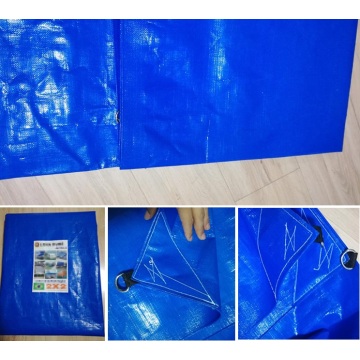 Blue Color PE Tarpaulin D ring