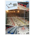 Chicken Breeder Poultry Farm Equipment