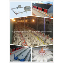 Chicken Breeder Poultry Farm Equipment