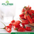 Sunshine Dried Goji Berry benefits for Promoting Blood