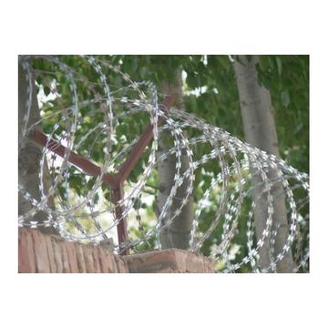 Razor Wire Cbt-65/Low Price Concertina Razor Barbed Wire