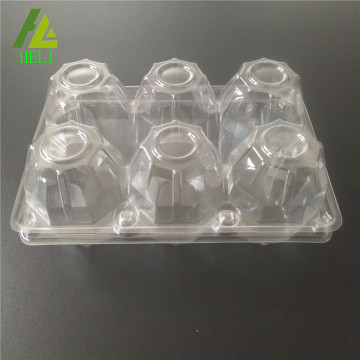 clear biodegradable 6 pack large egg cartons