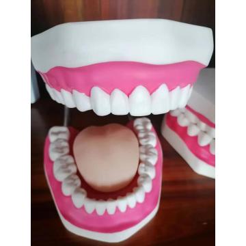 Modelo de cuidado dental ampliado