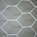 venda de tela de arame hexagonal galvanizado