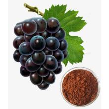Виноградные семена экстракт CAS 84929-27-1