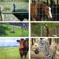 Cerca de fazenda de veado / cerca de cavalo / cerca de animal