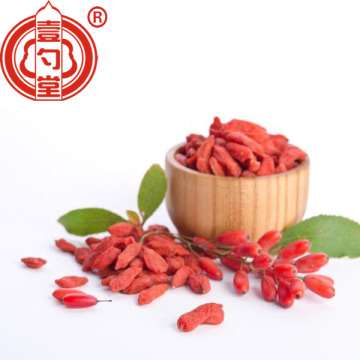 Organic Air Dried  Red Goji Berry Fruit