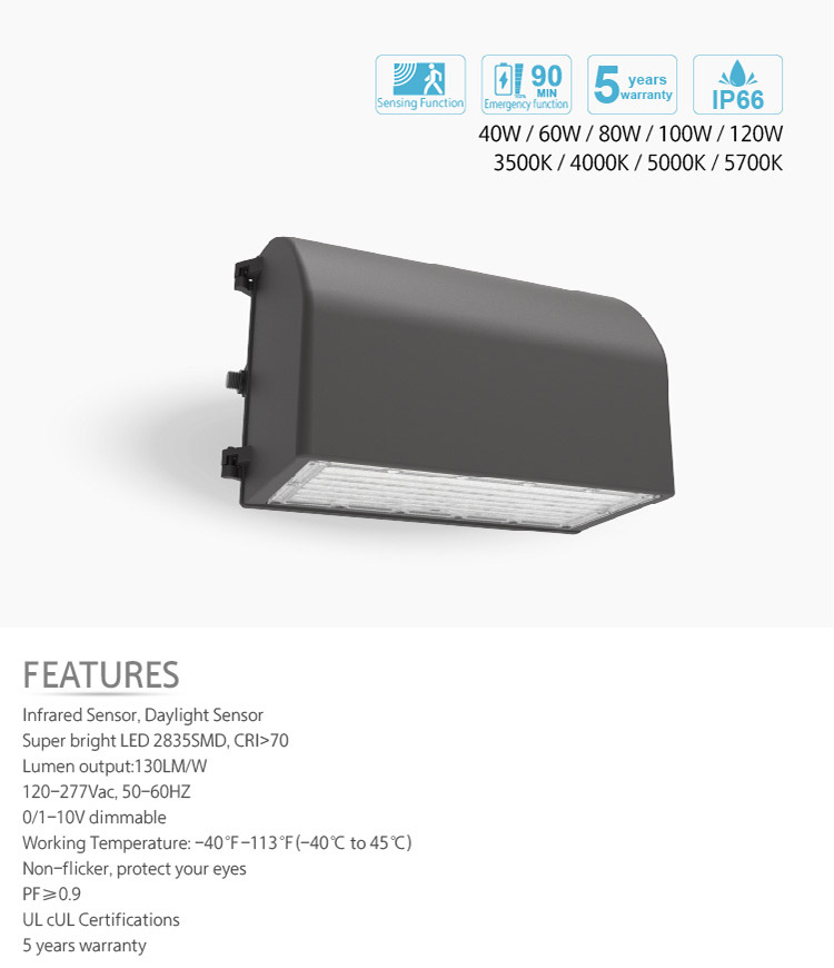 Outdoor Commercial LED Light