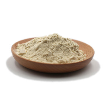 Bulk orgânico de proteína de feijão de mungo