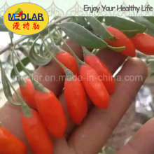 Medlar Organic Goji Chinese Wolfberry