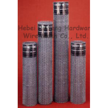 Filter Cylinder