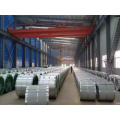 Print/Desinged Prepainted Galvanized Steel Coil