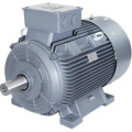 BEIDE 1MT0013 Explosion-proof Three-phase Asynchronous Motor