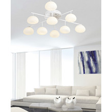 Home Decoration Modern LED Ceiling Light (MX14042-9C)