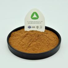 Kombucha Instant Tea Extract Powder