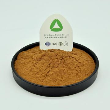 Kombucha Instant Tea Extract Powder