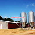 Steel Construction in Poultry House with Free Design and Efficient Installation