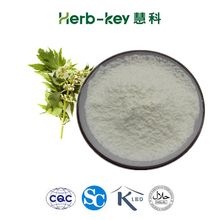 Natural Motherwort extract,motherwort extract powder