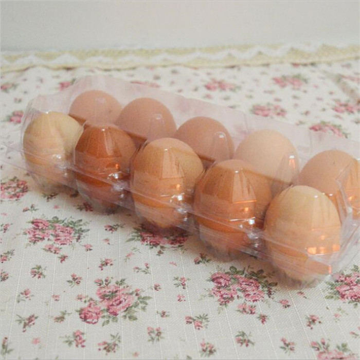 Clear Plastic Chicken Eggs Tray