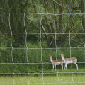 Vista de campo de malla de alambre de la unión de la articulación galvanizada