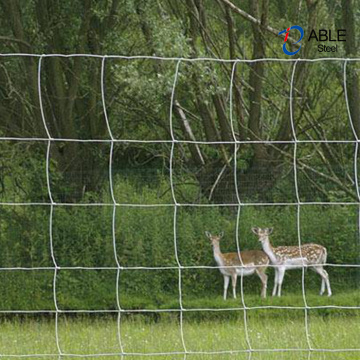 Galvanized Hinge Joint Wire Mesh Livestock Field Fence