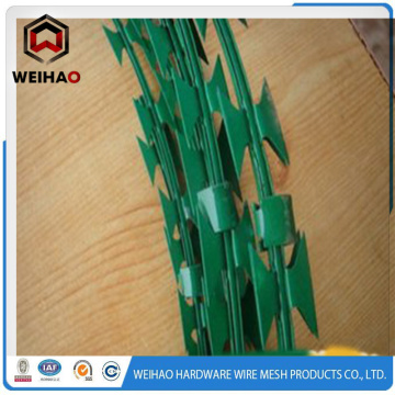 razor barbed wire security fence / isolation strip