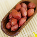 New Crop top Quality red skin Peanut