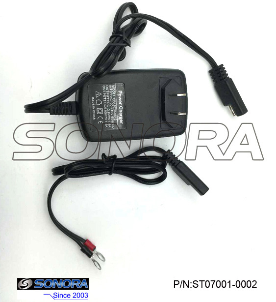 Smart Lead Acid Battery Charger