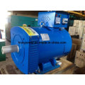 8kw St AC Genarator/Alternator 230V