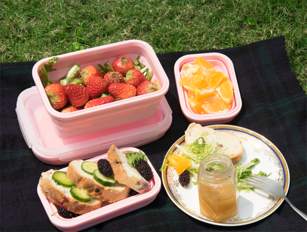 silicone lunch box (5)