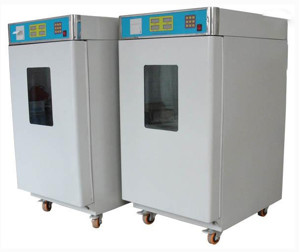 Gas sterilizer