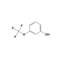 3- (Trifluorométhoxy) Phénol N ° CAS 827-99-6