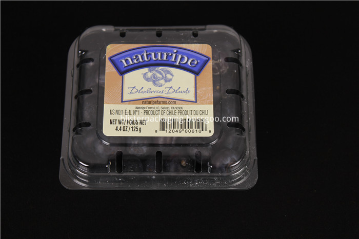 Blueberry Boxes for Packaging